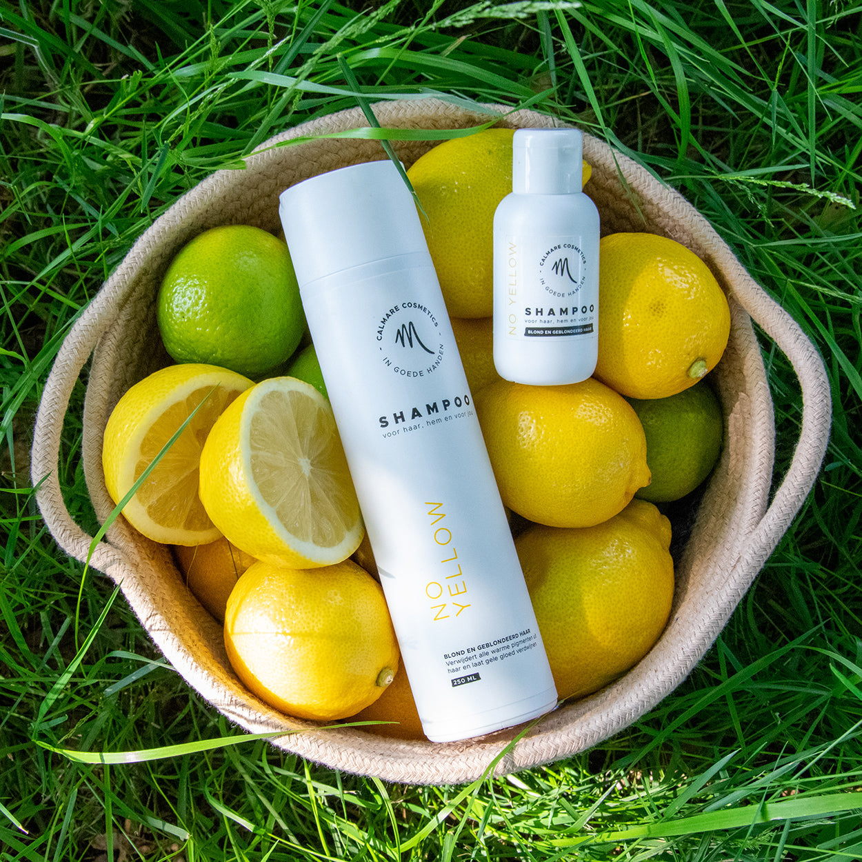 Product uitgelicht: No Yellow Shampoo